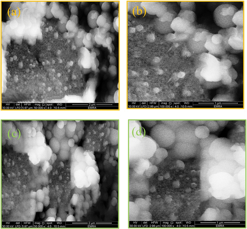 Figure 10. SEM micrographs for PAZm/Py/ZnOa (a,b) magnifications (x=50,000, 100,000), PAZm/Py/ZnOb (c,d) magnification (X= 50000 and 100,000).