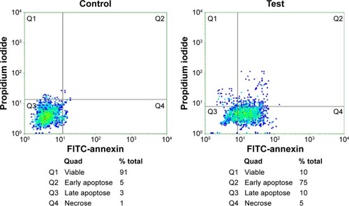 Figure 6 Flow cytometry analysis in the control and test after annexin and PI staining.