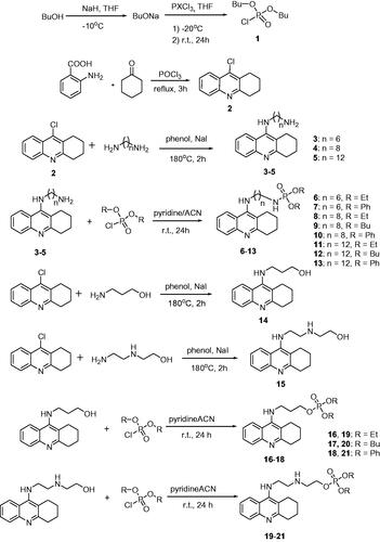 Scheme 1. Synthesis of new phosphorus tacrine derivatives 6–13, 16–21.