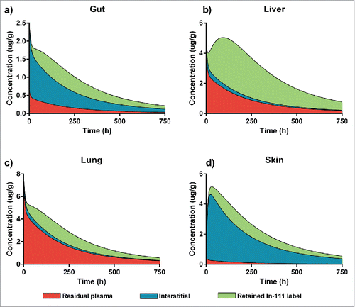 Figure 5. A PBPK-based breakup of total tissue concentration into the contributions of the different sub-compartments. Red shows the contribution of residual plasma, blue of the interstitial space and green of the In-111 label retention. We show 4 representative examples for the different tissues: (a) Gut, which has a quite even contribution of the 3, (b) Liver which is highly degrading and therefore has a high contribution of the retained In-111 label and a quite high residual blood contribution, (c) Lung has high residual plasma, similar to liver, and fairly low interstitial contribution but less label retention and (d) Skin, where the total tissue concentration is mostly based on the interstitial contribution with only very little residual plasma and some label retained after degradation.