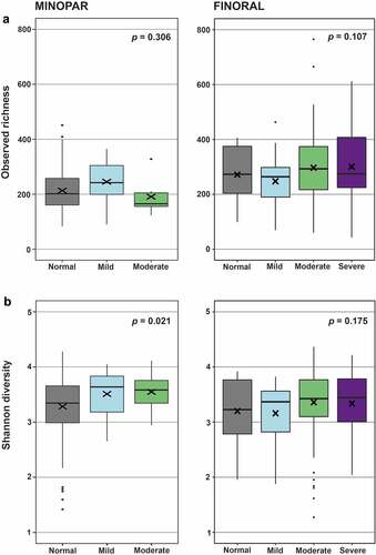 Figure 2. Alpha diversity of the oral microbiome in the MMSE categories. MINOPAR (n = 202) and FINORAL (n = 174) participants were divided into subgroups according to the MMSE score as normal, mild, moderate, and severe cognitive decline. Alpha diversity as observed richness and Shannon index were calculated for the subgingival microbiome composition in both cohorts. p-values for the significance of the difference between the MMSE groups are shown. The box plots present median (x), mean (line), IQR (box), and 95% CI (error bars).