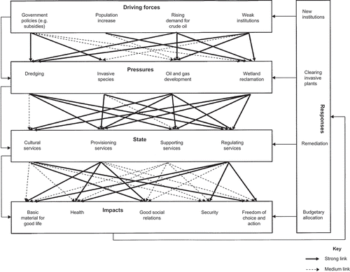 Figure 2. Niger Delta ecosystem services within the DPSIR framework (indicating significant links). Note: Absence of a link does not imply no influence, only that linkage is weak at best. Some links are not shown but assumed. For example, supporting services are linked to other ecosystem services as it underpins their province; it is possible that rising demand for oil drives government polices and weakens institutions; freedom of choice and action also depends on the other four constituents of human well-being.