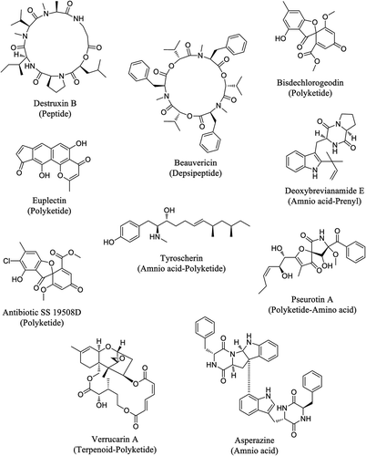 Figure 1. Structures of selected secondary metabolites identified from fungal endophytes of milk thistle and their biosynthetic classes.
