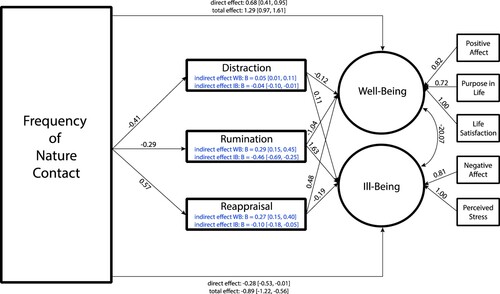 Figure 1. Bayesian structural equation model results with frequency of nature contact, emotion regulation, and emotional ill-being and well-being.Notes: Bayesian structural equation model with mediation paths from nature contact to emotional ill-being and well-being outcomes via emotion regulation strategies. Unstandardised regression coefficients and factor loadings are labelled on the arrow for each path. Indirect effect estimates are contained within the box for each emotion regulation strategy. Direct and total effect estimates are labelled on the paths from nature frequency to ill-being and well-being. We determined significance by identifying whether the 95% Bayesian credible interval contained 0. Using this criterion, all paths were significant. IB = ill-being; WB = well-being.