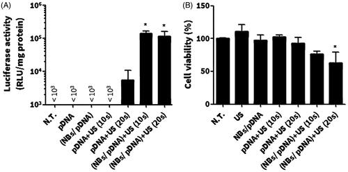 Figure 6. In vitro gene expression and cellular damage in C26 cells after various treatments with pDNA. (A) In vitro gene transfection. (B) WST-1 assay. Colon C26 cells were treated with nanobubbles (NBs) with pDNA and ultrasound (US) irradiation. Fifteen hours after transfection, cells were harvested and the level of luciferase was evaluated in addition to a WST-1 assay. Each bar represents the mean ± SEM of 3–5 experiments. *p < 0.05 versus the corresponding group of no treatment (NT).