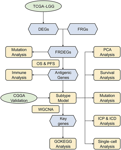 Figure 1 Flow chart of the analytical approach.
