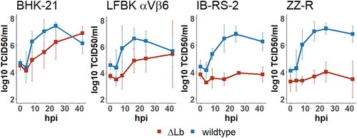Figure 1. In vitro replication of O/FRA/1/2001 wildtype versus leaderless (ΔLb) FMDV over 42 h on four cell lines (BHK-21, LFBK αVβ6, IB-RS-2, and ZZ-R) infected at an MOI of 0.1. Supernatant was collected at 0, 4, 8, 16, 24, and 42 hpi and titrated on BHK-21 cells.