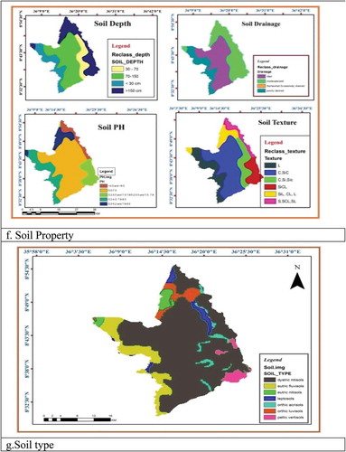 Figure 2. (Continued).