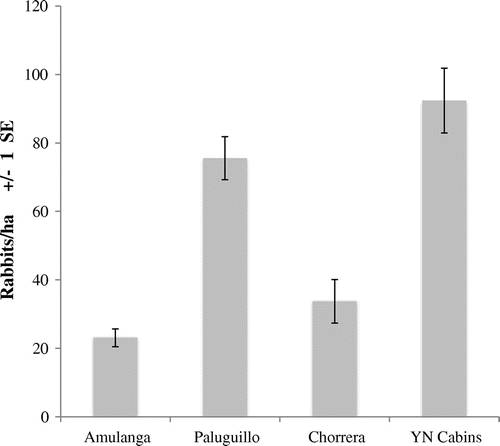 Figure 2. Mean rabbit density (rabbits/ha) and standard error in four study sites calculated with Novaro et al.’s [Citation26] hare density formula. N = number of months pellet count took place (Amulanga N = 5, Paluguillo N = 8, Chorrera N = 7 and Yanahurco N = 7). Sites that do not share a letter were significantly different (p < 0.05) according to Dunn’s non-parametric test of pairwise comparisons.