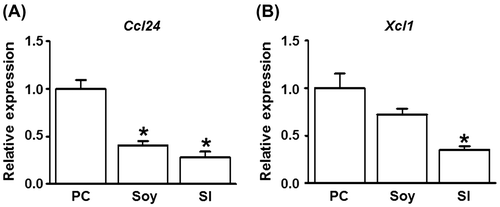Fig. 4. Effect of feeding mice with soybean and SI on Ccl24 and Xcl1 mRNA expression.