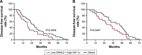 Figure 3 Kaplan–Meier survival analysis of GRHL2 and HIF-1α expression in esophageal cancer tissues. Low GRHL2 and high HIF-1α expression was correlated with (A) inferior recurrence-free survival and (B) overall survival in esophageal cancer patients.