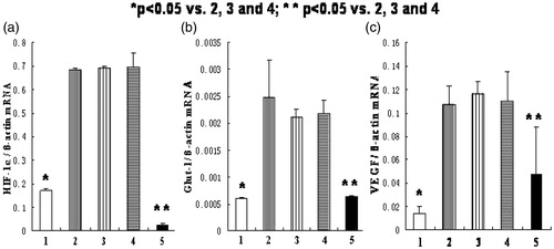 Figure 6. The mRNA expression of HIF-1α, Glut-1, and VEGF in HK-2 cells in different groups. (1) normoxia group; (2) hypoxia-like group; (3) transfection reagent group; (4) negative control group; (5) HIF-1α siRNA group. (a) The mRNA expression of HIF-1α. (b) The mRNA expression of Glut-1. (c) The mRNA expression of VEGF. The mRNA expression of HIF-1α, Glut-1 and VEGF in normoxia group was significantly lower than those in hypoxia-like group, transfection reagent group, and negative control group (*p < .05). And the mRNA expression of HIF-1α, Glut-1, and VEGF in HIF-1α siRNA group was also significantly lower than those in hypoxia-like group, transfection reagent group, and negative control group (**p < .05). Results (means ± SD) are from 6 sets of experiments.