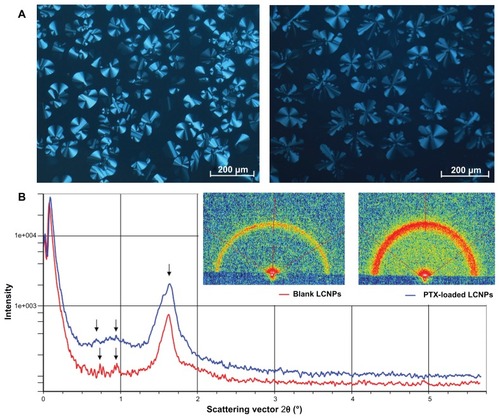 Figure 1 (A) Photomicrographs of bulk liquid crystalline matrices under crossed polarized light microscopy: left, blank liquid crystalline matrix; right, paclitaxel-loaded liquid crystalline matrix. (B) Small-angle X-ray diffraction pattern of liquid crystalline matrices: red line, blank liquid crystalline matrix; blue line, paclitaxel-loaded liquid crystalline matrix.Abbreviations: LCNPs, liquid crystalline nanoparticles; PTX, paclitaxel.