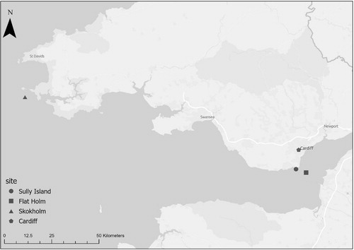 Figure 1. Location of Welsh islands Sully Island, Flat Holm and Skokholm, and the local mainland study site in Cardiff.