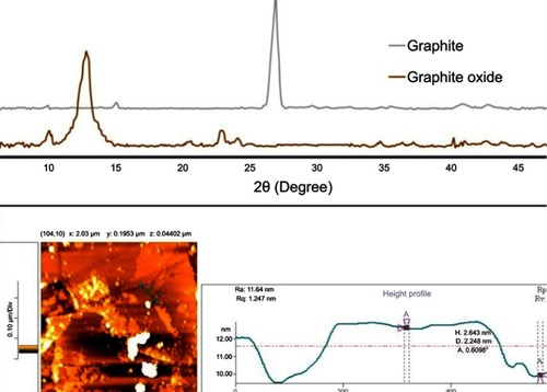 Figure 3 Structural and morphological characterization of synthesized GO: XRD (A) and AFM (B) of graphene.Abbreviations: XRD, x-ray diffraction; AFM, Atomic Force Microscopy.