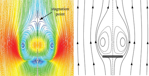 Figure 10. Flow topology of a single forebody.