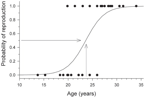 FIGURE 3. Probability of reproduction (cone presence) in treeline Mountain pine recruits as a function of their ages. According to the fitted binomial model (line, equation: y = e (52x-12.32)/(1 + e (0.52x-12.32), the probability of reproduction equal to 0.5 is reached at an age of 24 years as illustrated by the two arrows.