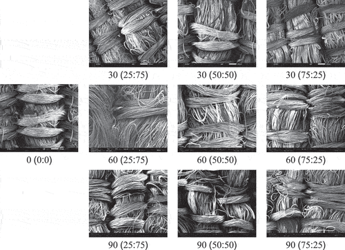 Figure 1. Surface characteristics of Eri silk textile dyed with fermented banana trunk bio-extract at different concentration levels and dyeing times under a Scanning Electron Microscope (SEM) at 60× magnification.