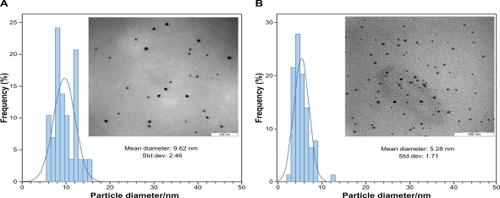 Figure 2 The typical TEM images and corresponding particles size distribution of Ag-NPs at different reaction times; A) S3 and B) S5.Abbreviations: Ag-NPs, silver nanoparticles; TEM, transmission electron microscopy.