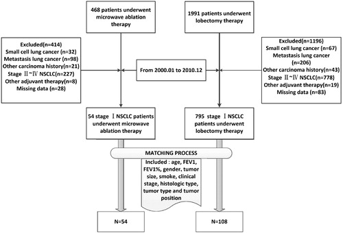 Figure 1. The flow diagram of patient selection. LB, Lobectomy; MA, microwave ablation; NSCLC non-small cell lung cancer.