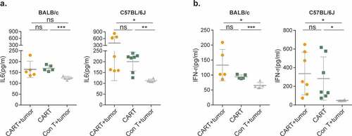 Figure 4. EpCAM CAR-T-mediated CRS is tumor independent.