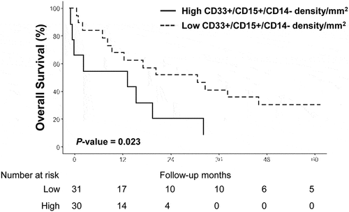 Figure 3. Kaplan-Meier overall survival curve according to CD33+/CD15+/CD14- status in patients treated by immunotherapy (n = 48)