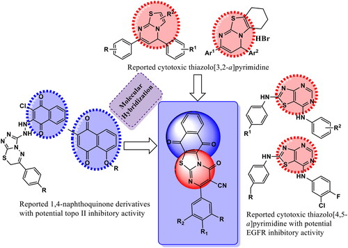 Figure 3. Diagram represents design of novel hybrids based upon thiazolo[3,2-a] pyrimidine and 1,4-naphthoquinone moieties as dual topo II/EGFR inhibitor.