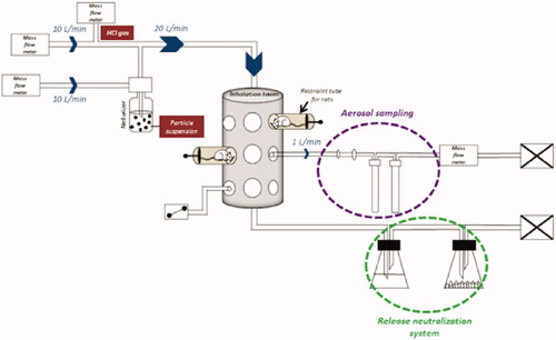 Figure 1. Nose-only inhalation exposure system. Al2O3 NPs aggregates suspension in water and HClg bottle were connected to the system on two parallel paths that joined to create the mixture. Mass flow meters allowed to generate and calibrate the air flow in order to avoid re-inhalation phenomena of the air exhaled by the animals (dynamic air circulation, 10 L/min). During exposures, rats were placed in individual containment tubes positioned on the oro-nasal inhalation tower. Al2O3 NPs and HClg mixture reached the inhalation chamber at a flow rate of 20 L/min. Bubblers and samplers connected to the inhalation tower allowed the collection of samples during the exposures in order to characterize the generated aerosol. A release neutralization system (bubbler with soda and desiccant) was set up at the inhalation tower exit.