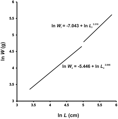 Figure 2. Double-logarithmic plot of body mass (W) vs. total length (L) for the two development phases of female blackmouth catshark from the southern Adriatic Sea.