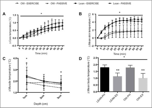 Figure 4. The effect of 60-minutes passive heating at 40°C, exercise at 7 W/kg and body composition on determinants of mean body temperature. (A) the change in core temperature, (B) change in mean skin temperature, (C) muscle temperature at depths of 1 cm, 2 cm and 3 cm, (D) change in mean body temperature. * above line denotes main effect of time, * denotes difference between lean (LEAN) and overweight (OW) groups in the passive heating condition (p < 0.05). † denotes difference between LEAN and OW groups in the exercise condition (p < 0.05). ** denotes difference between passive heating (PH) and exercise (EX) within each group. Data presented as mean ± SEM.