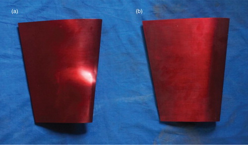 Figure 3. Experimental rudder models: (a) twisted rudder, and (b) ordinary rudder.