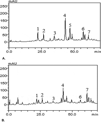 Figure 7. (a&b): Representative of HPLC-DAD profile of ethylacetate (a) and aqueous (b) extracts of T. triangulare. Chromatograms showing the presence of chlorogenic acid (peak 1), caffeic acid (peak 2), rutin (peak 3), quercetin (peak 4), kaempferol (peak 5), luteolin (peak 6) and apigenin (peak 7).