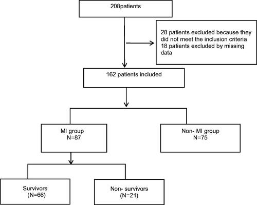 Figure 1. Flowchart of all excluded and included patients.