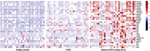 Figure 2 Heatmap analysis of eicosanoids levels in serum of healthy control, COPD, and asthma–COPD overlap (ACO).
