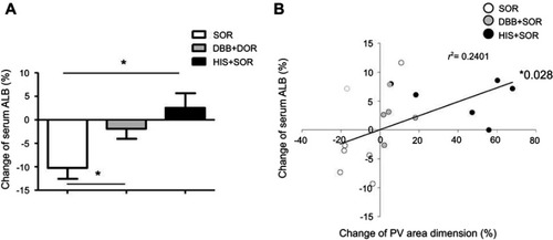 Figure 6 Effect of DBB and HIS on serum ALB level and PV area dimension.Notes: (A) Changes in serum ALB from the levels before SOR administration were compared between the groups treated with or without DBB or HIS. The values represent means ± SD (n=6 for each group). *P<0.05. Kruskal–Wallis test followed by Dunn’s multiple comparison test. (B) Changes in serum ALB and PV area dimension. The bold black line shows the trend line, and analysis of the correlation between changes in serum ALB and PV area dimension was performed. *P<0.05, Pearson’s correlation test.Abbreviations: ALB, albumin; PV, portal vein; SOR, sorafenib; DBB, dried bonito broth; HIS, histidine.