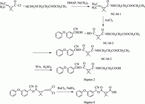 Figure 2.  Synthetic scheme for the preparation of hapten 2 and hapten 8.