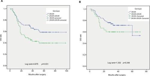 Figure 2 OS curve associated with TS (rs34743033) polymorphism in gastric cancer patients who received adjuvant chemotherapy. (A) TS (rs34743033) 2R/3R and 2R/2R variant genotypes had negative effect on OS of patients receiving chemotherapy based on cisplatin (p=0.031). (B) TS (rs34743033) 2R/3R and 2R/2R variant genotypes had no difference on OS in oxaliplatin-based chemotherapy (p=0.248).Abbreviations: OS, overall survival; TS, thymidylate synthase.