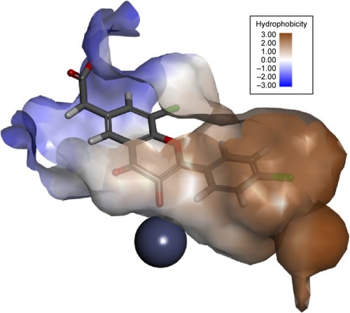 Figure 5 Docking of compound 2 within the active site of Glo-I.