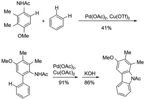 Figure 12. Synthesis of carbazoles using 2,3-dimethyl-4-methoxyacetanilide and benzene.