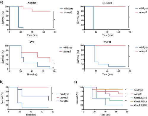 Figure 2. Role of OmpR in A. baumannii virulence assessed in G. mellonella infection model.