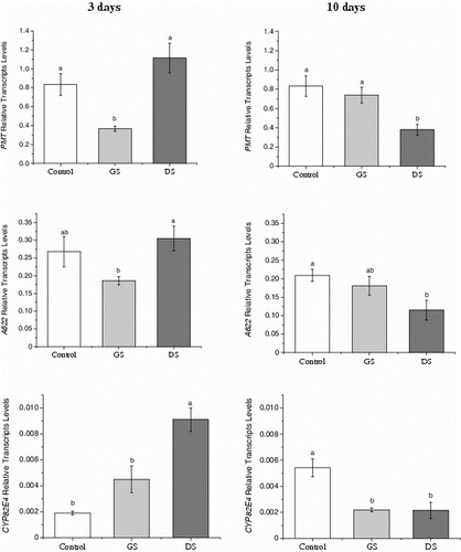 Figure 2.  Relative transcript levels of tobacco alkaloid related-enzymes in relation to elongation factor EF-1α transcript levels in roots of Nicotiana tabacum plants after 3 or 10 days of elicitor solution applications (Control – plants without elicitor solution application; GS – elicitor solution from germinating spore exudates; and DS – elicitor solution from disrupted AMF spores). Significant differences among treatments at P<0.05 were determined by one-way analysis of variance (ANOVA) followed by the Tukey's test and are indicated by different letters. Error bars show the standard deviation (n=4).