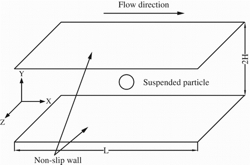 Figure 5. Schematic diagram of the particle-laden channel flow.