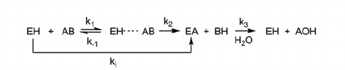 Scheme 1. The process of AChE carbamoylation and decarbamoylation.aaEH is the free enzyme, AB is the inhibitor, EH · · · AB is the non-covalent complex and EA is the carbamylated enzyme. ki is inhibit constant and k3 is dissociation constant.