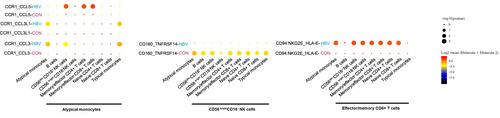 Figure 6 Intercellular communication among different immune cell subsets.