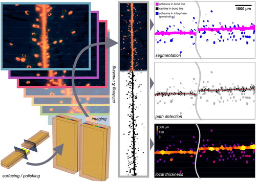 Figure C1. Workflow schematic of imaging and processing of UV bond line microscopy.