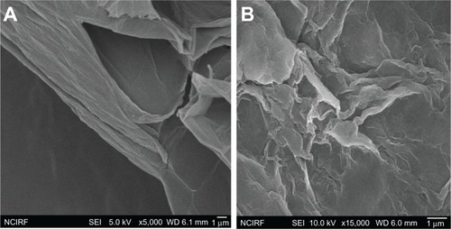 Figure 5 Scanning electron microscopy images of (A) graphene oxide and (B)bacterially reduced graphene oxide.