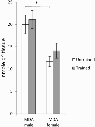 Figure 4. Effects of gender and training on MDA (lipid peroxidation index) content in gastrocnemius muscle of untrained (white histogram) and trained rats (gray histogram). Values are means ± SEM. A two-way ANOVA and the Student’s t-tests were used to compare trained vs. untrained and female vs. male rats, *P < 0.05.
