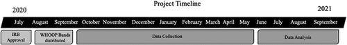 Figure 1. Overall project timeline.