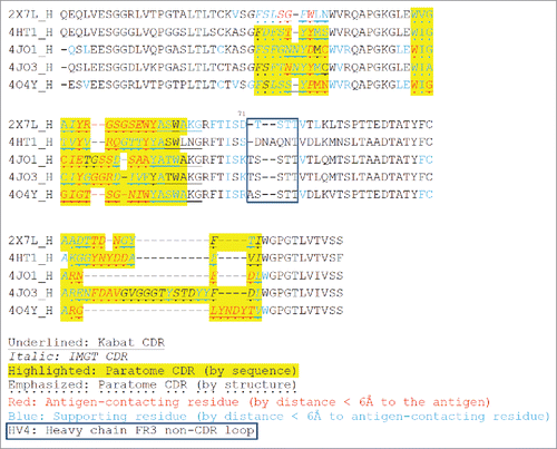 Figure 2. Multiple structure alignment of RabMAb VHs by Strap. Antigen-contacting residues, their supporting residues, and Kabat/IMGT/Paratome CDRs are indicated in protein sequences. HV4, a non-CDR loop in heavy chain FR3.