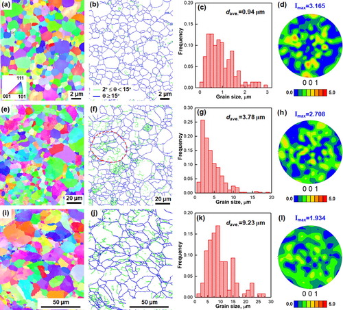 Figure 2. (a, e, and i) Inverse pole figure (IPF) maps, (b, f, and j) grain boundary (GB) maps, (c, g, and k) grain size distribution histograms and (d, h, and i) (001) pole figures (PF) of bulk samples prepared from (a–d) fine, (e–h) medium and (i–l) coarse powders, respectively.